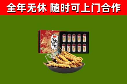 吴中烟酒回收冬虫夏草礼盒.jpg